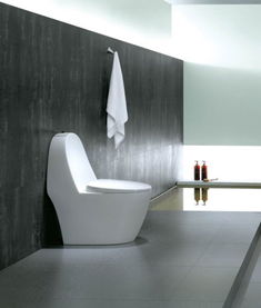 羅芬衛(wèi)浴R8385坐便器價格、圖片及參數(shù)詳解