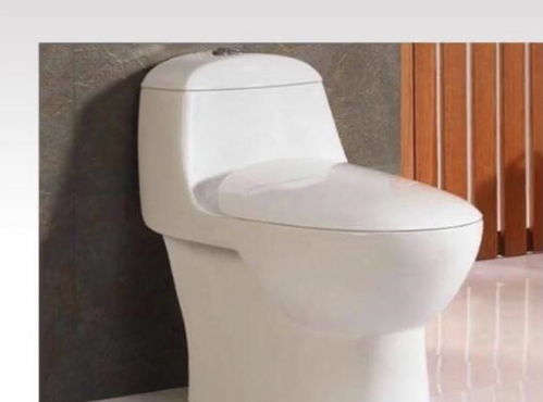 十年衛浴銷售專家揭秘 選對馬桶，潔凈廁所長久無憂